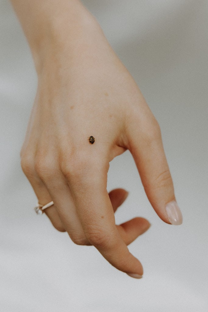 silje + sander